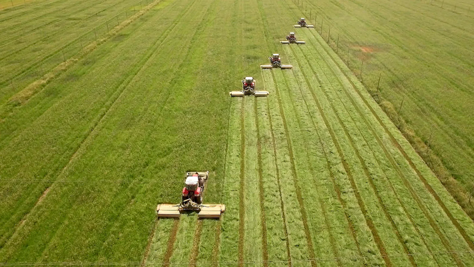 Lucerne harvest in a field irrigated by Floppy Sprinklers in Sudan